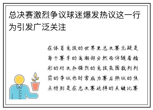 总决赛激烈争议球迷爆发热议这一行为引发广泛关注
