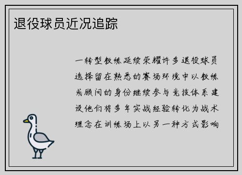 退役球员近况追踪